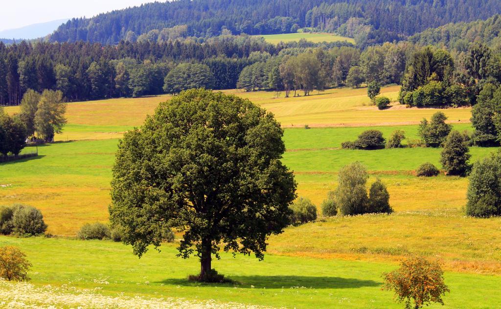 Pension Schuasterhof Bodenmais Zewnętrze zdjęcie