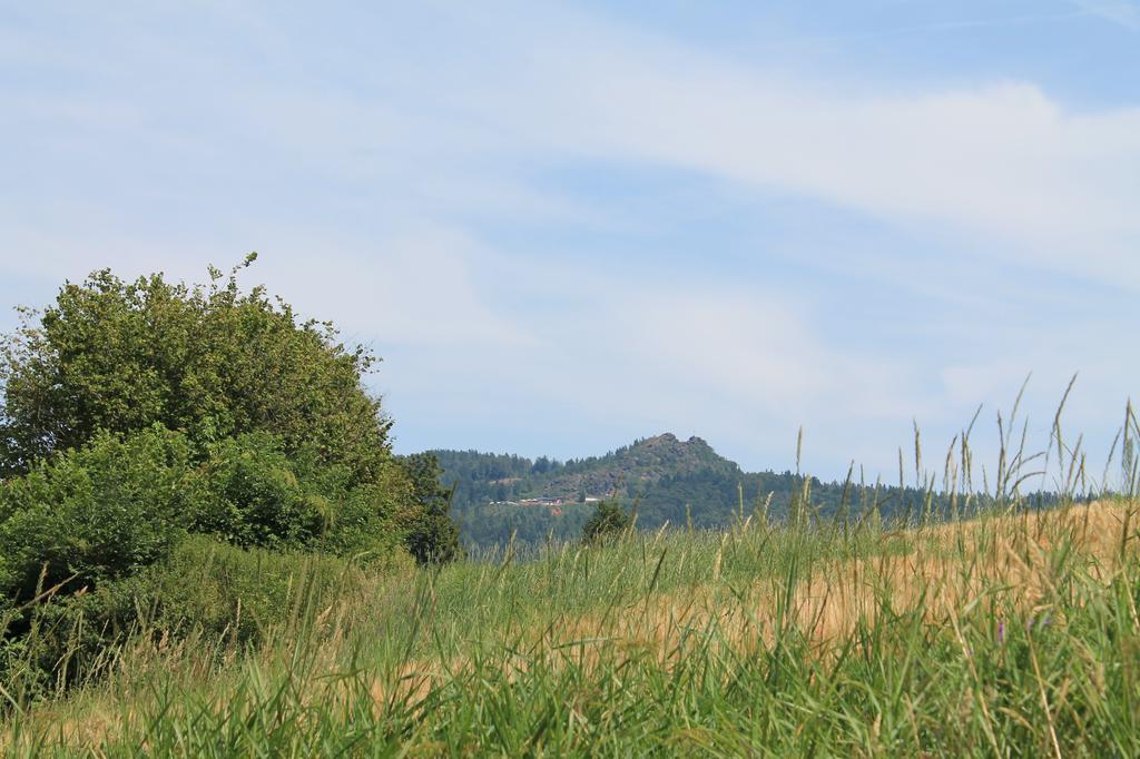 Pension Schuasterhof Bodenmais Zewnętrze zdjęcie