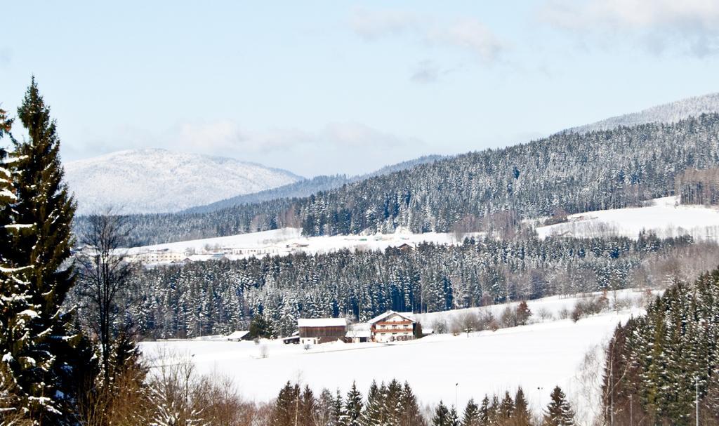 Pension Schuasterhof Bodenmais Zewnętrze zdjęcie